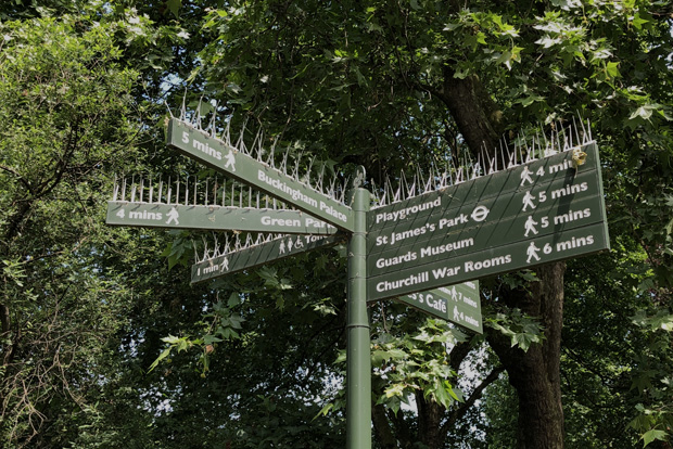directional-sign-saint-james-park-620